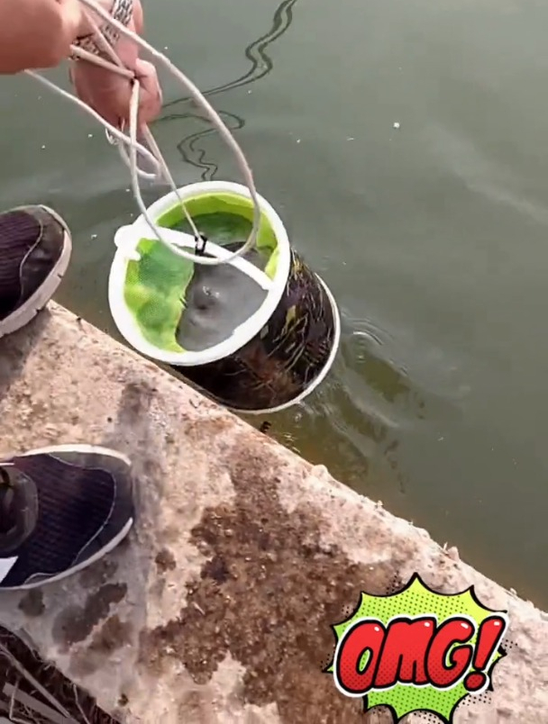 钓鱼用的打水桶,以为只能打水用?这些隐藏用法80%钓友不知道!