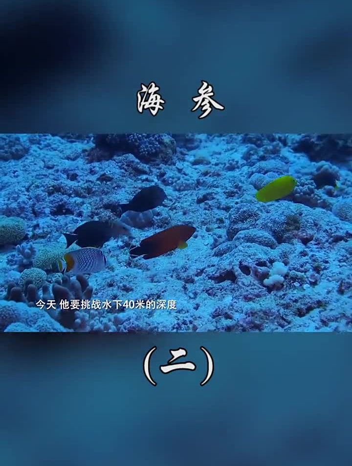 养生一只刺豚冲入了他的眼帘,刺豚当地称为刺泡鱼