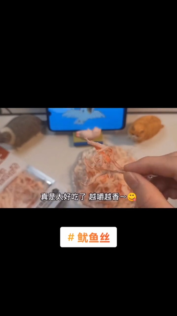 炭烧鱿鱼丝 有嚼劲,越嚼越香