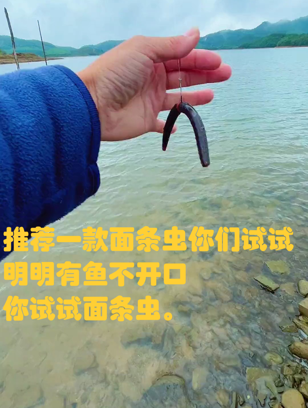 推荐一款面条虫你们试试,明明有鱼不开口,你试试面条虫