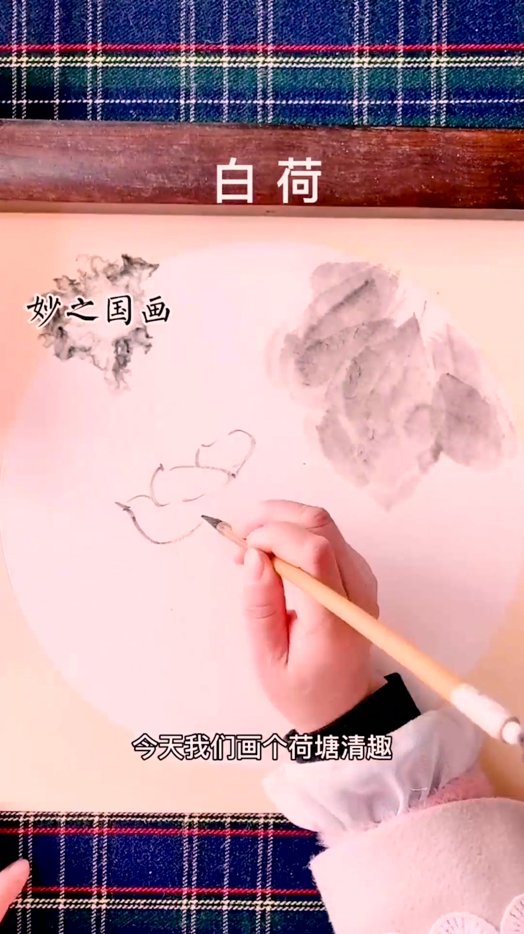 小写意花鸟画 中国画 国画教程 零基础学画画 妙之国画 荷塘清趣