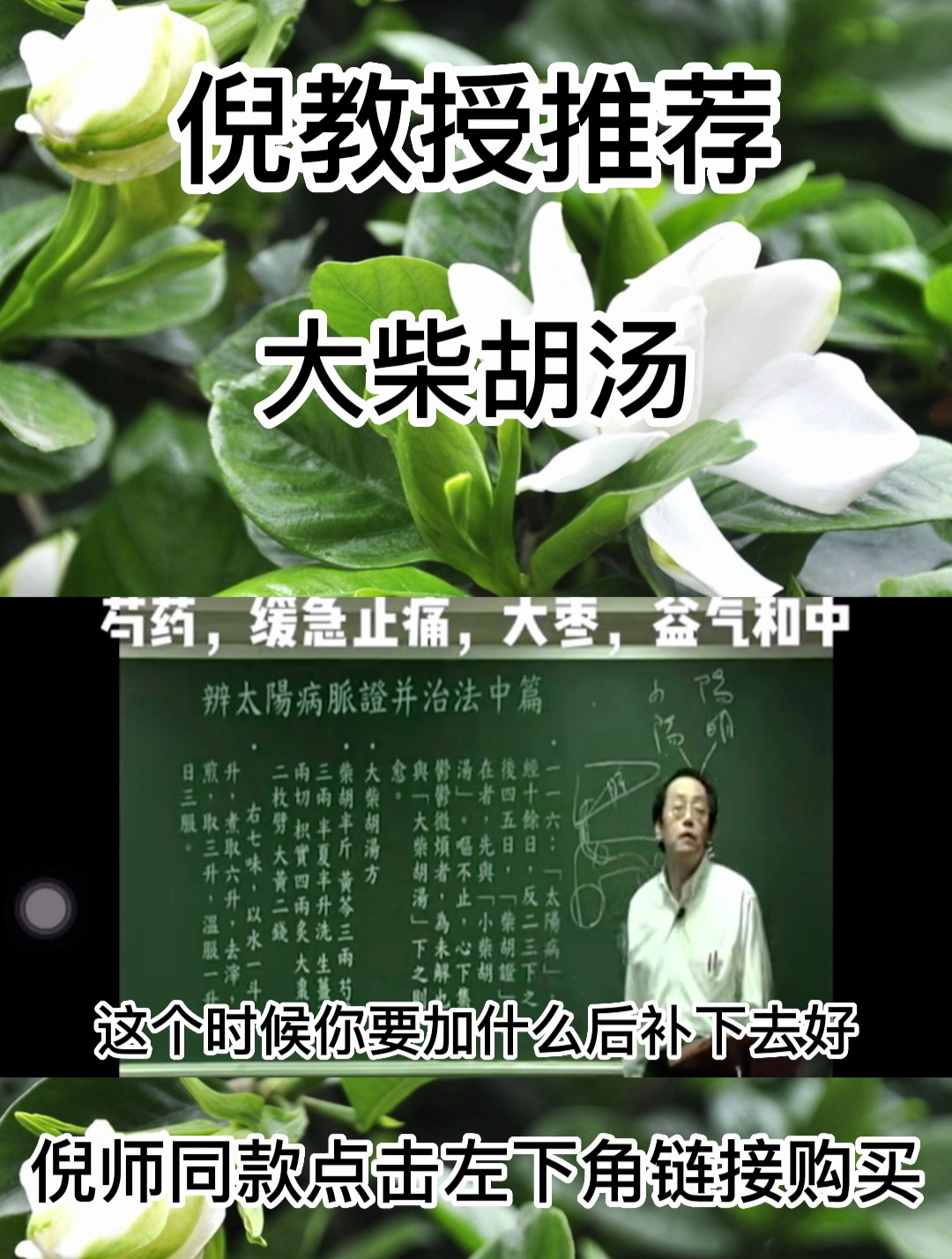 倪海厦讲解:大柴胡汤的处方