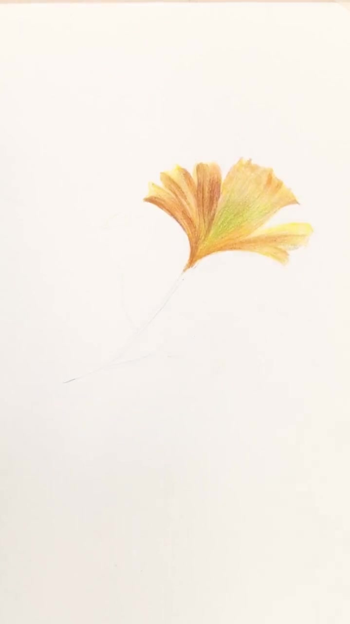 彩铅画,好看又简单的银杏叶