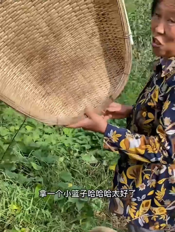 农村生活晒地瓜梗做咸菜地瓜梗新农人计划2022三农