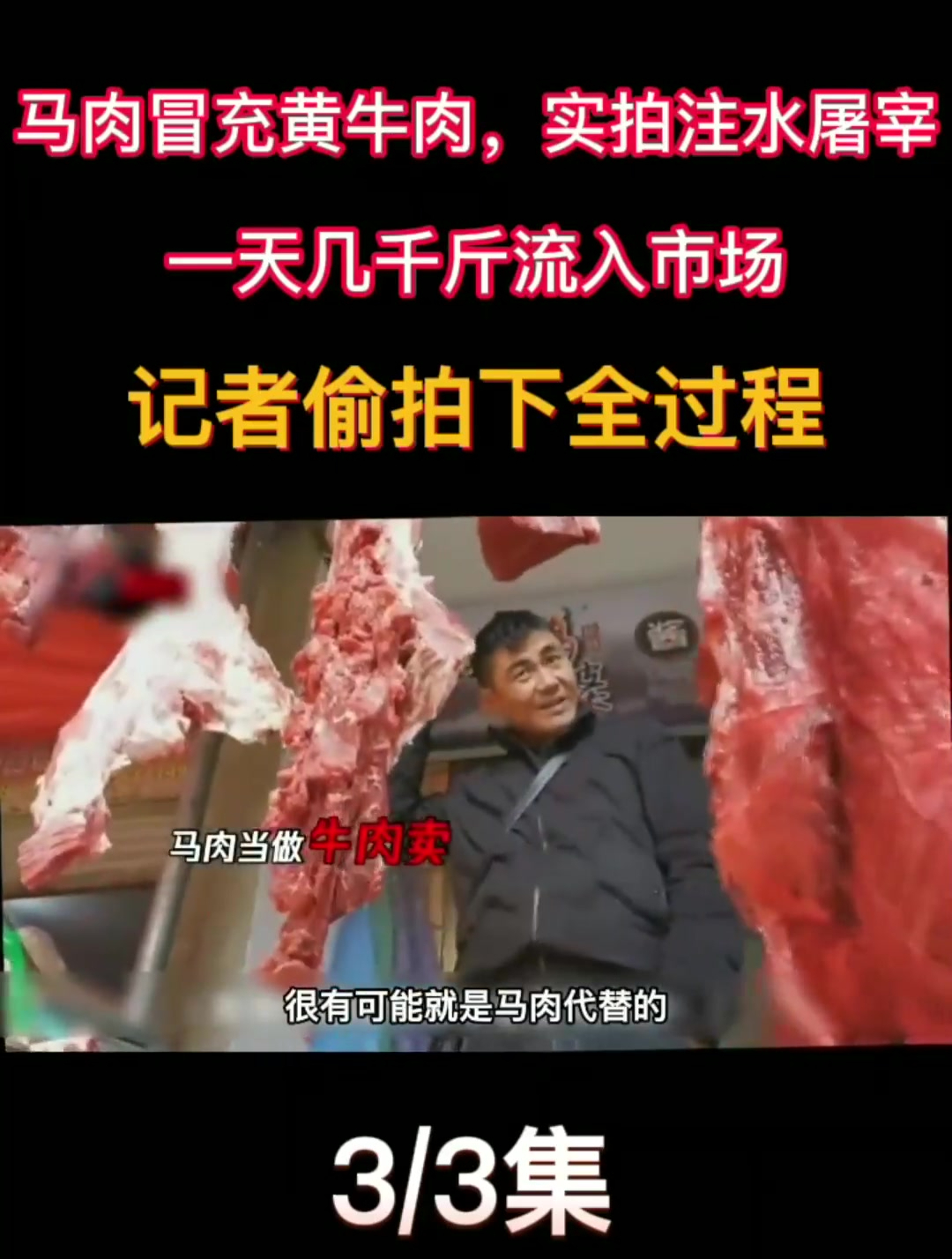 商户用马肉冒充牛肉,屠宰场每天销售上千斤,记者偷拍全过程3