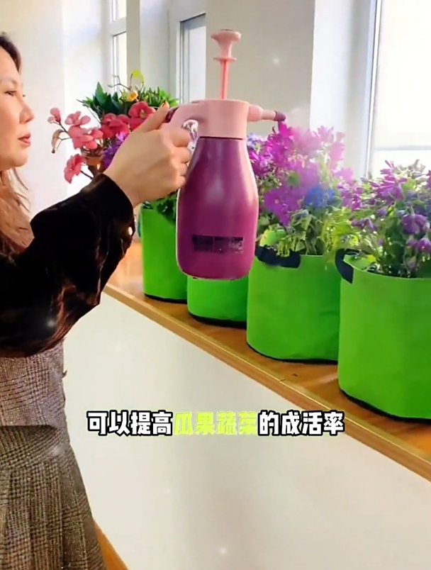 用“袋子”种菜太环保了,媳妇盆栽了十几种菜,邻居:我也学学!