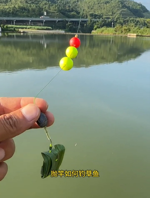 钓草鱼用什么效果最好?老钓友:一捆草就够了!
