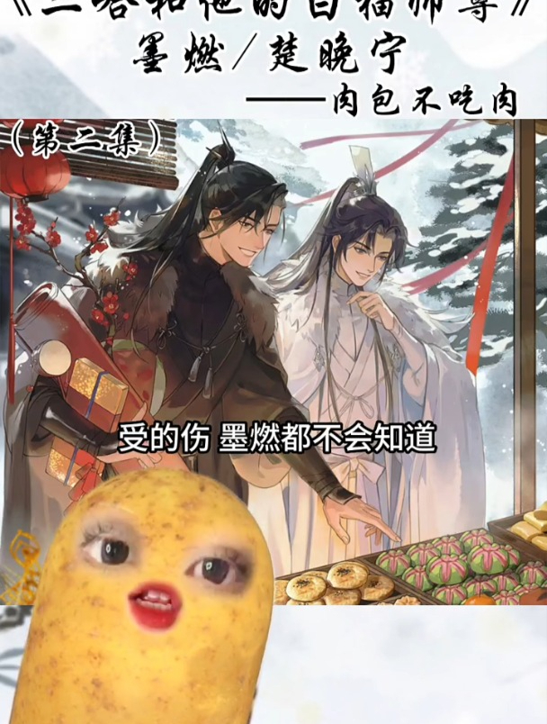 傲娇暴躁大白猫-楚晚宁