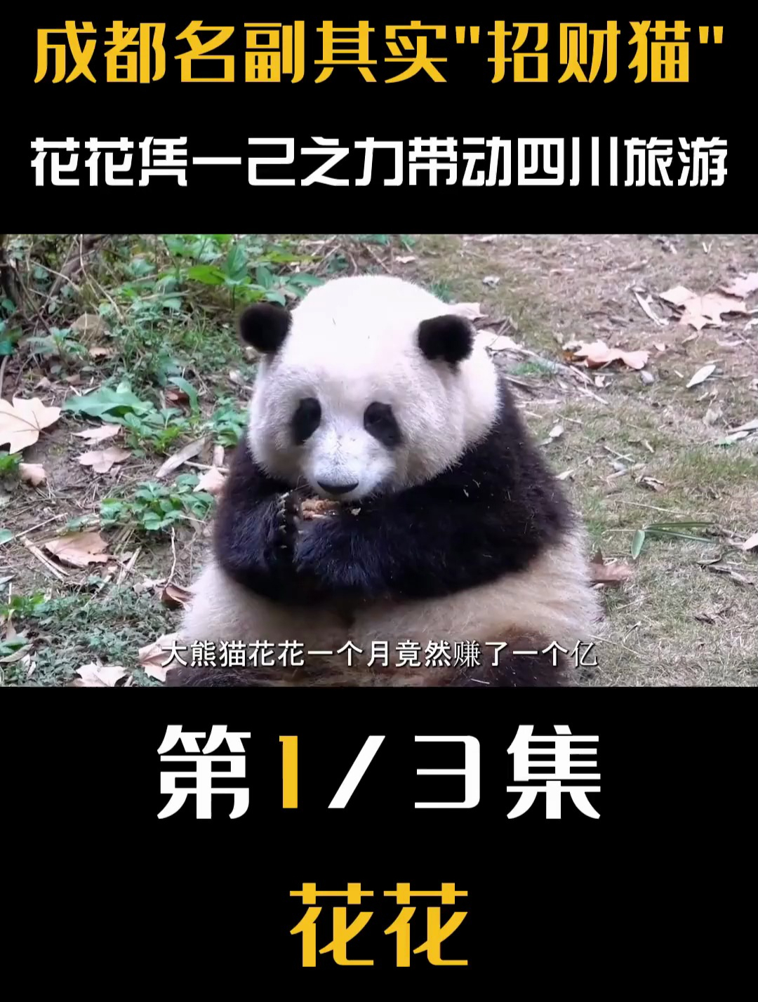 顶流花花的影响力有多大?帮熊猫基地月入上亿,晋升20后超级富婆