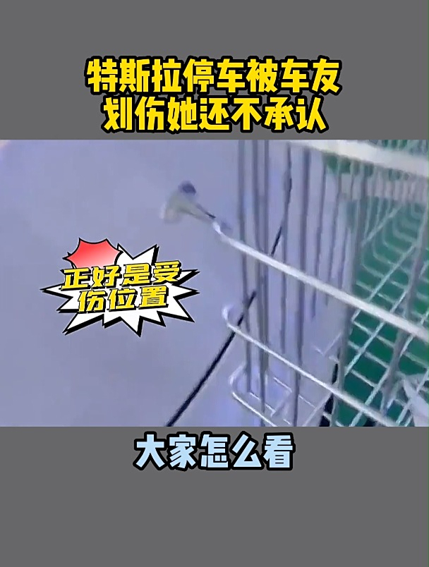 特斯拉停车被车友划伤她还不承认