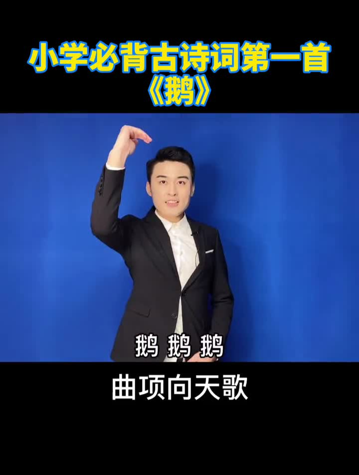 玩过山车法学小学必背古诗词116首|第1首《鹅》