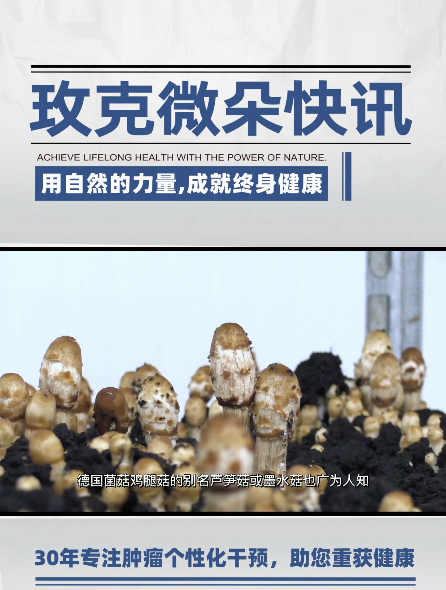 鸡腿菇的作用,如何能帮助患者
