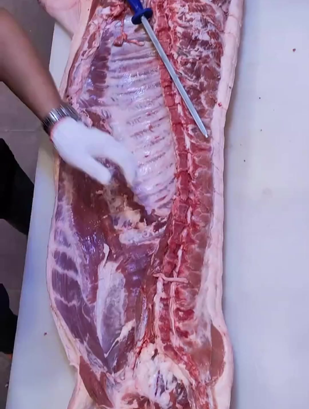 简单说说猪肉部位名称