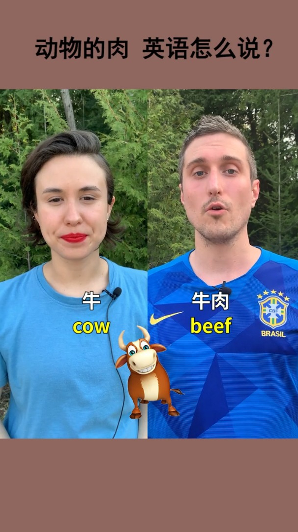 动物的肉用英语怎么说