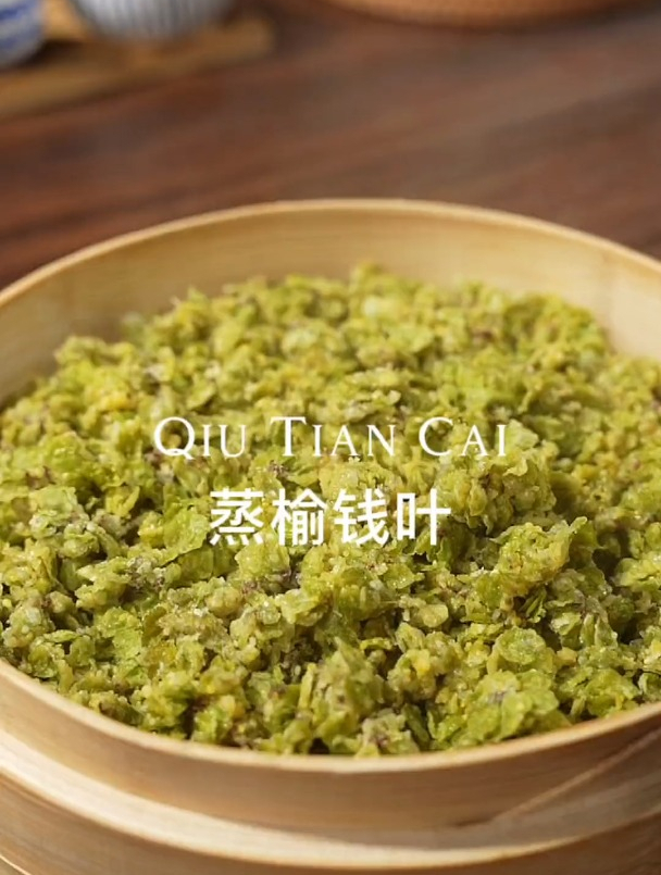 春天的榆钱特别嫩,做个蒸菜尝尝鲜,味道鲜美营养丰富