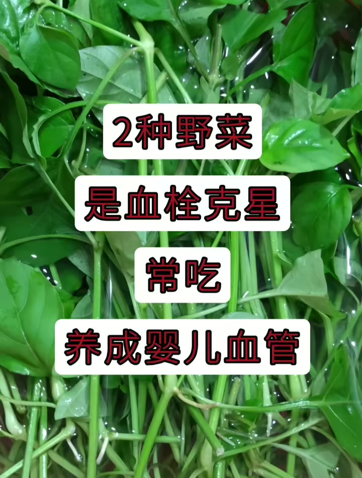 2种野菜,是血栓克星,常吃,养成婴儿血管