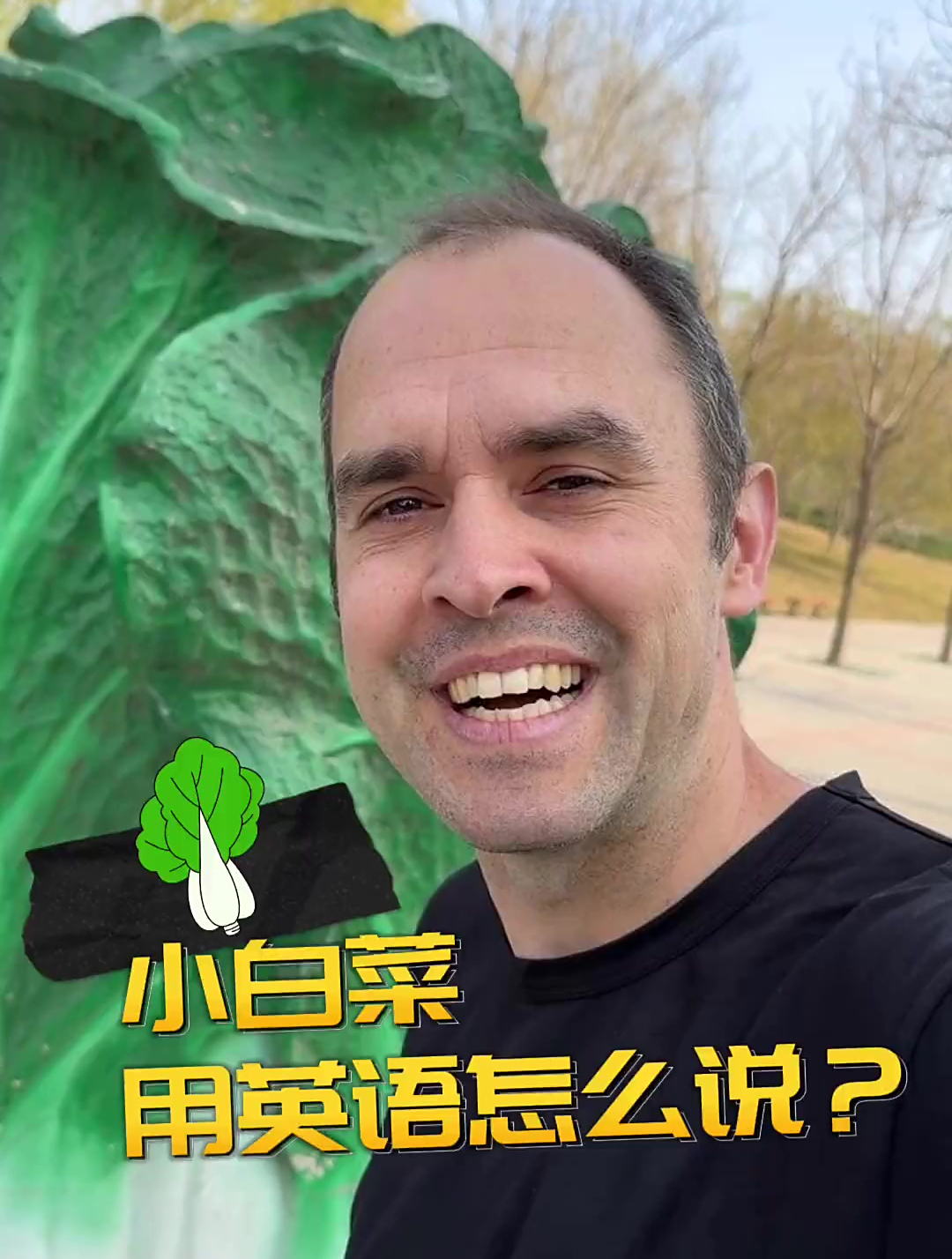 今天教大家“小白菜”的英文