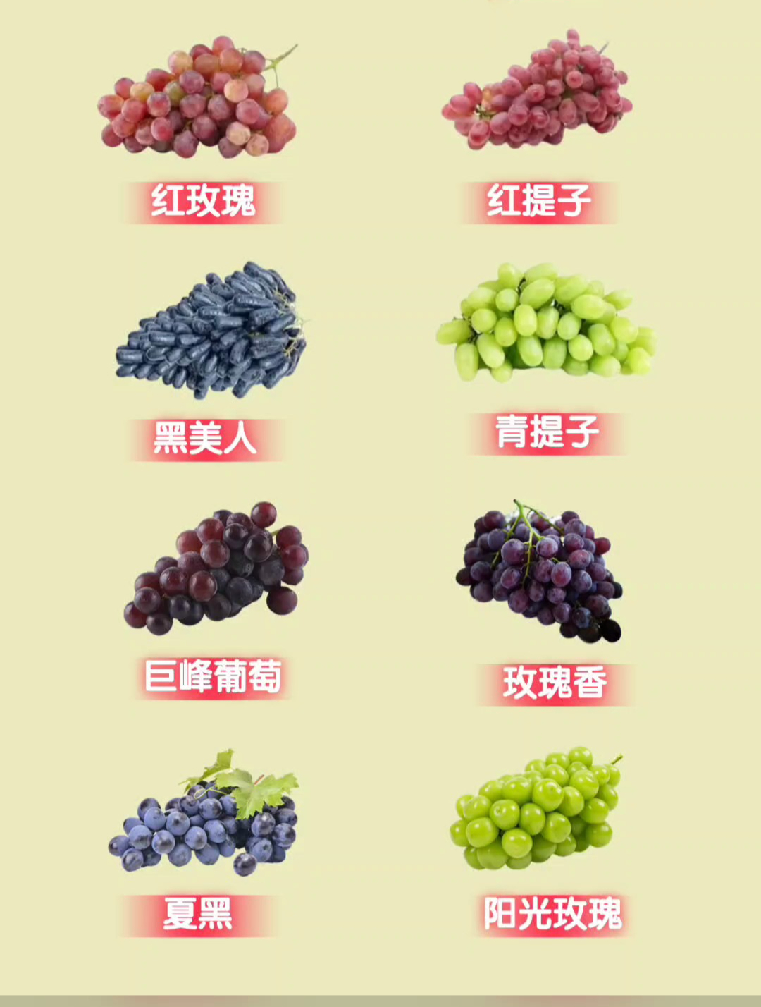 葡萄热量大pk!8大常见葡萄,哪个更适合减肥期吃