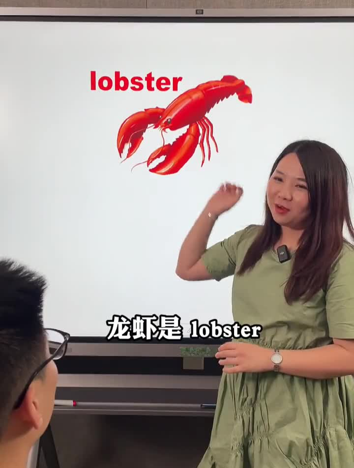 你是我的龙虾!零基础英语英语每日英语英语没那么难
