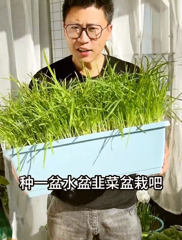 老公心血来潮盆栽韭菜,结果却一发不可收拾,多到只能送邻居