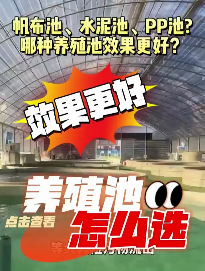 养鱼还在纠结用帆布池还是水泥池吗