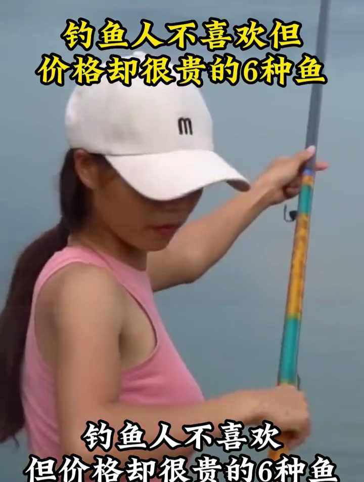 盘点钓鱼人不喜欢,但是价格却很贵的6种鱼