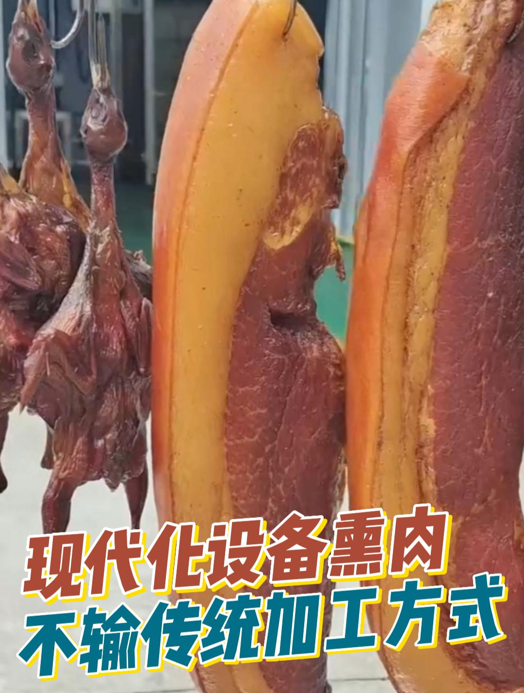 环保熏烤腊肉机器,腊肠烟熏炉
