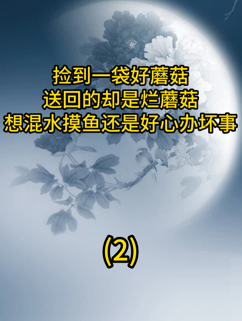 捡到袋好蘑菇,送回的却是烂蘑菇,大姐想混水摸鱼还是好心办坏事