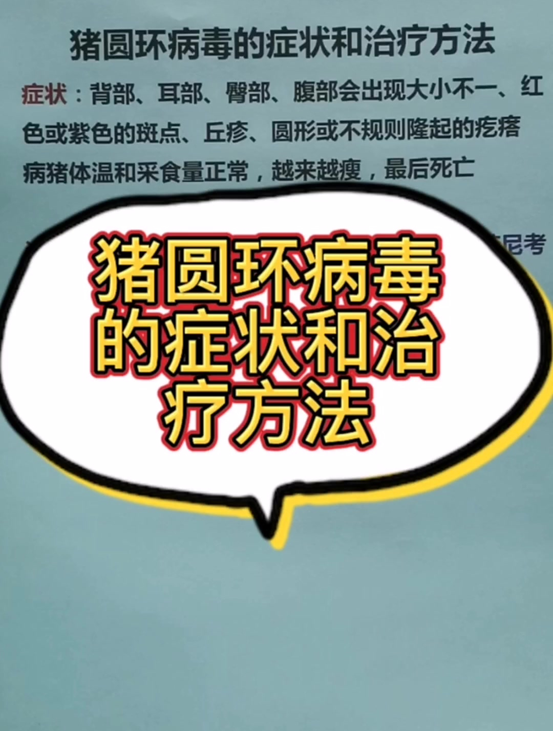猪圆环病毒的症状和治疗方法