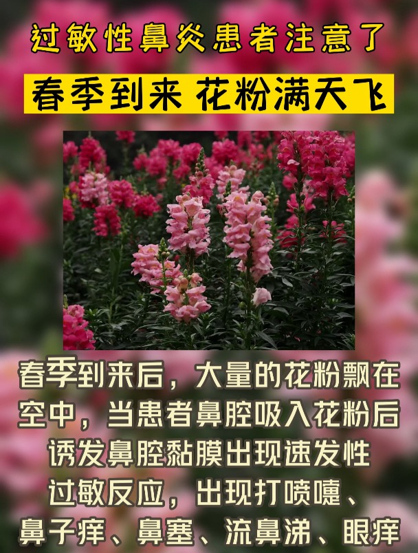 春季到来,花粉满天飞,过敏性鼻炎患者要注意了