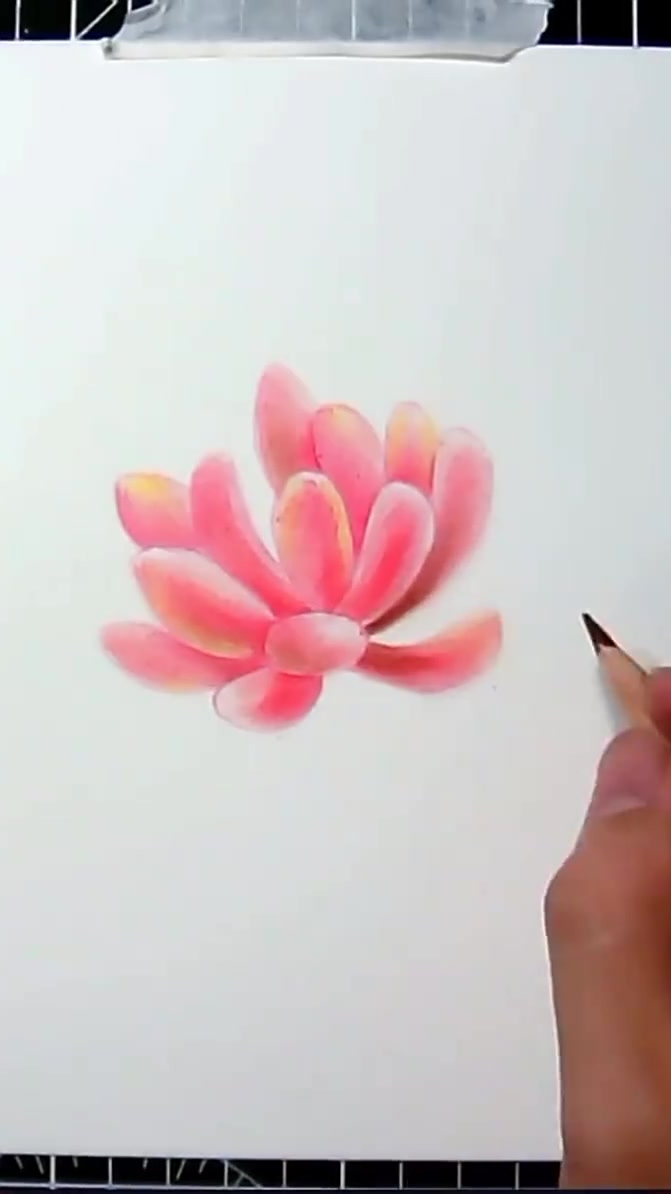 简单到一学就会的多肉画法教程来啦