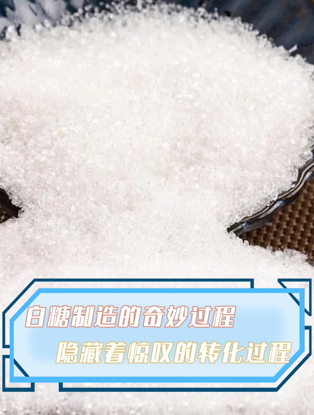 白糖制造的奇妙过程