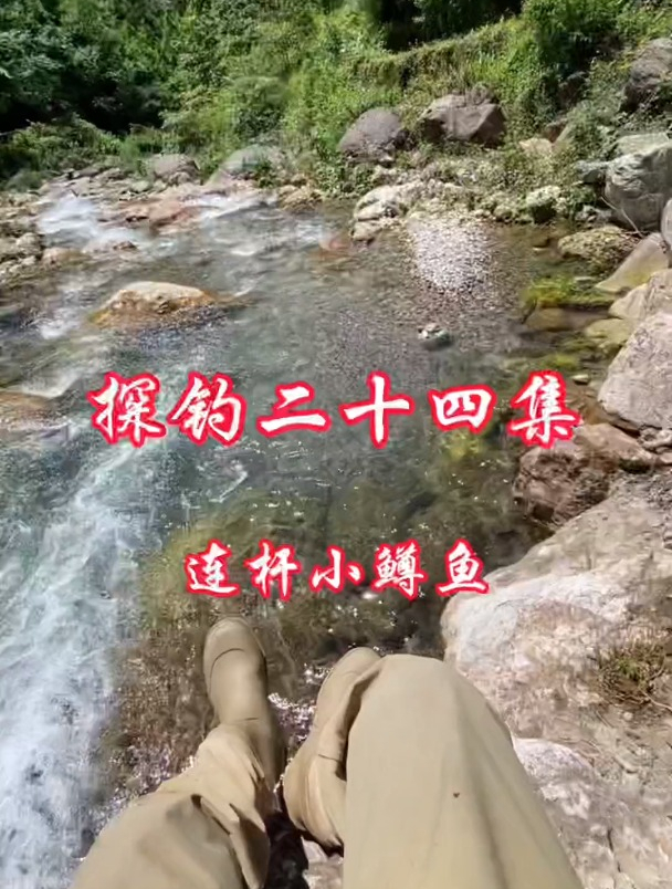 山涧溪流,小鳟鱼连杆,很惬意!