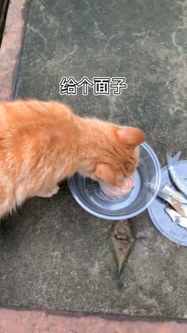 妈妈撒过最大的谎 “我爱吃鱼头,鱼肚子给你”