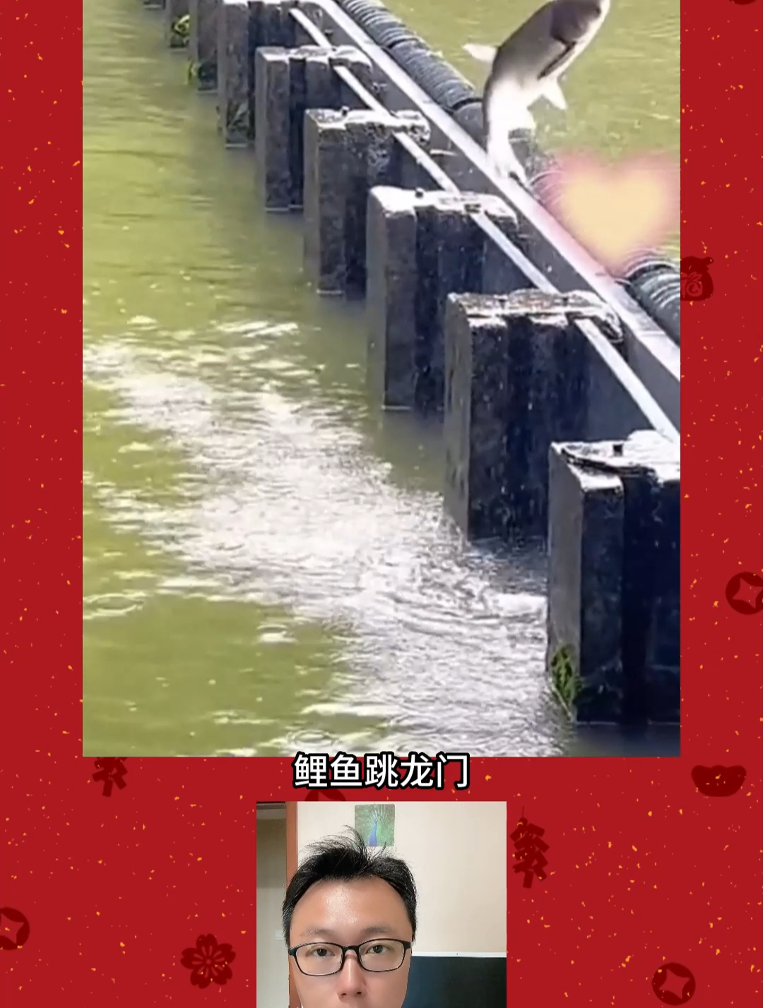 鲤鱼跳龙门,能看到的真的是很吉利,大吉大利