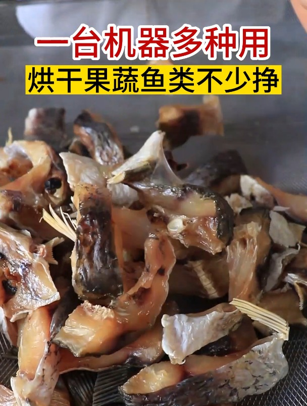 小型商用烘干机,适合烘干鱼海鲜蔬菜水果