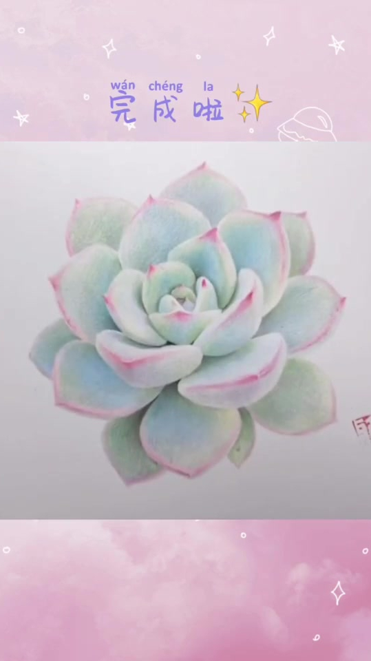 彩铅多肉,我的绘画日常