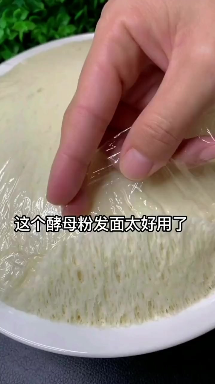 益生菌酵母粉,可以做馒头、花卷、面包、包子、发面饼等