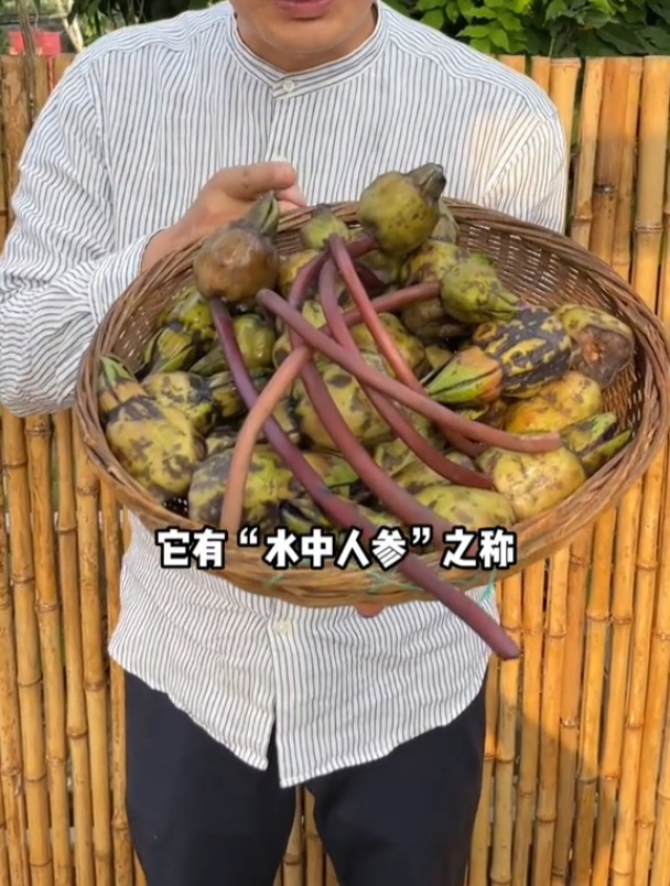 芡实,一年生大型水生草本,因果实外形酷似鸡头,得名鸡头米