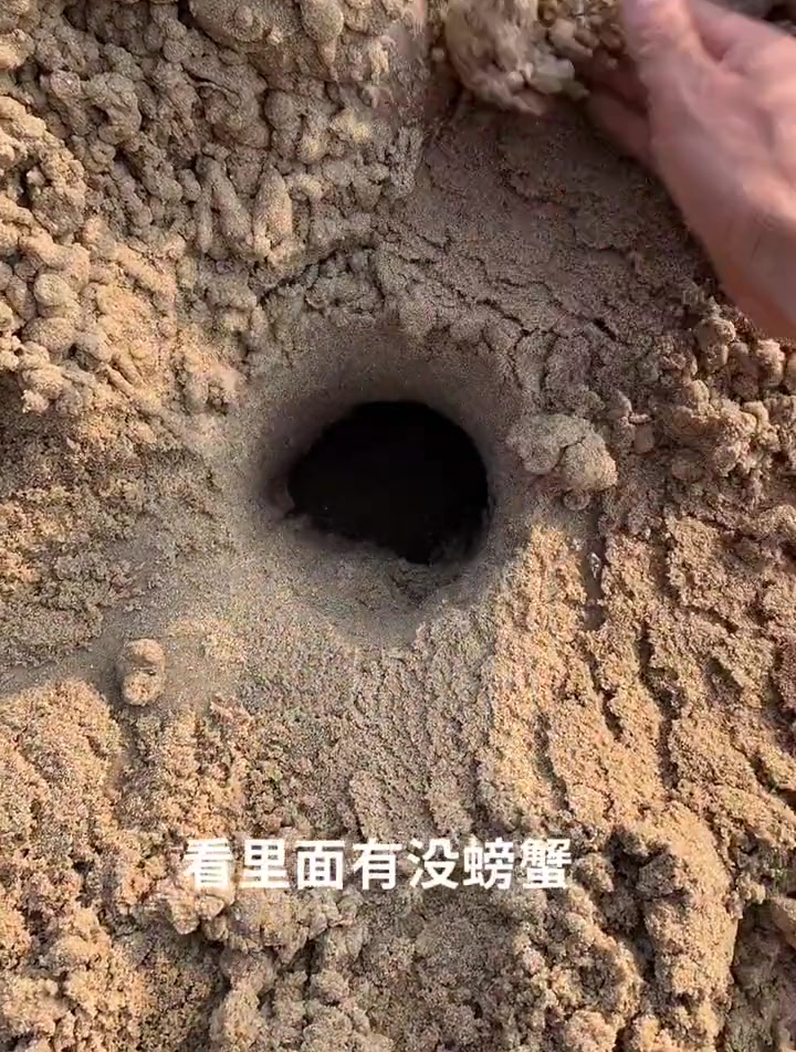 看能不能插到螃蟹