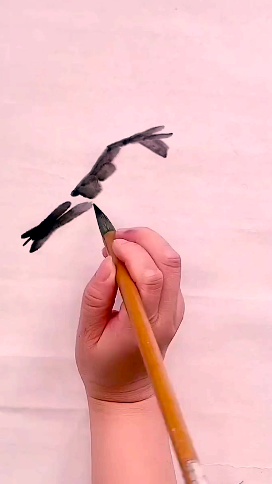 好看的国画,虾 画虾