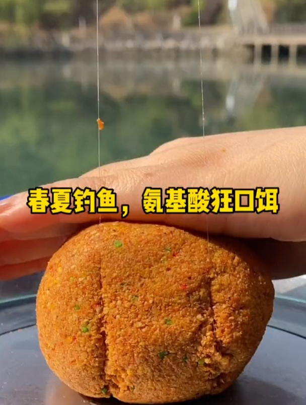 什么钓鱼最有效?氨基酸钓鱼有用吗?老手讲解钓鱼这些“误区”!