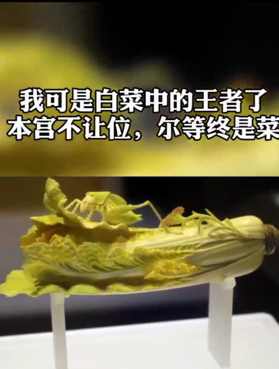 清朝象牙白菜,上面趴着一只蝈蝈还有一朵盛开的鲜花!