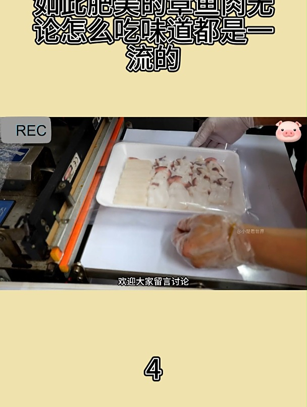 如此肥美的章鱼肉无论怎么吃味道都是一流的4