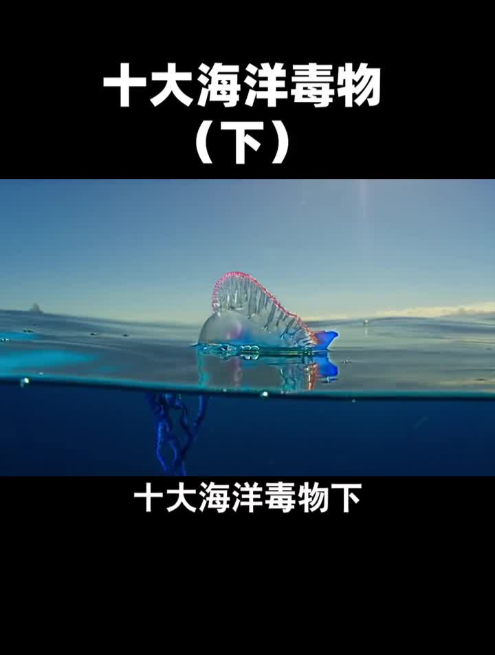 你还知道哪些海洋毒生物海洋