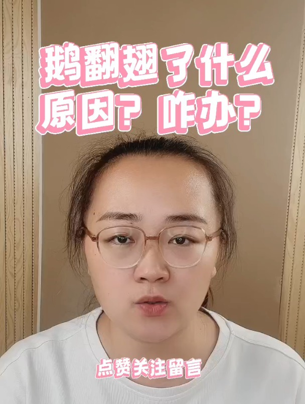 鹅翻翅膀什么原因?鹅翻翅膀怎么回事?防治鹅翻翅的方法?