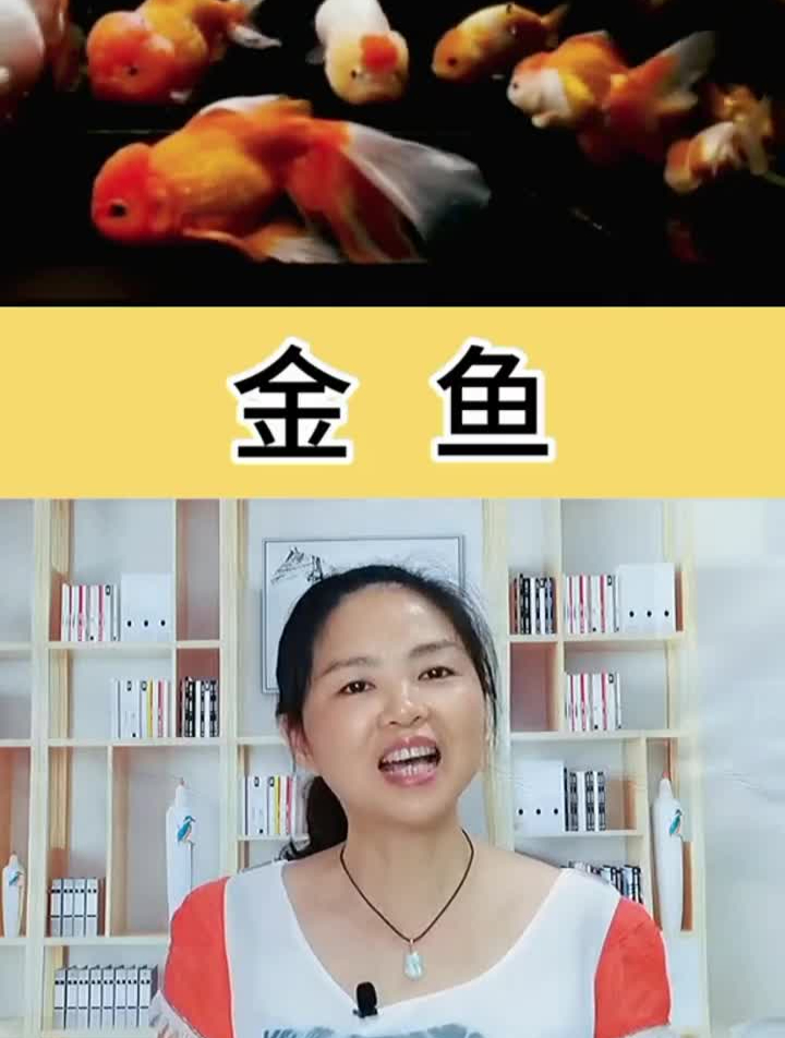 让孩子写作赢在起跑线上。范文小金鱼二年级看图写话