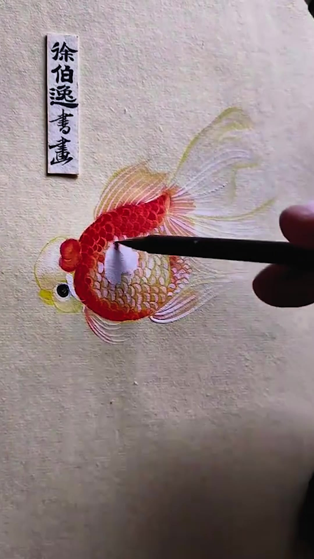 画一条可爱的小金鱼