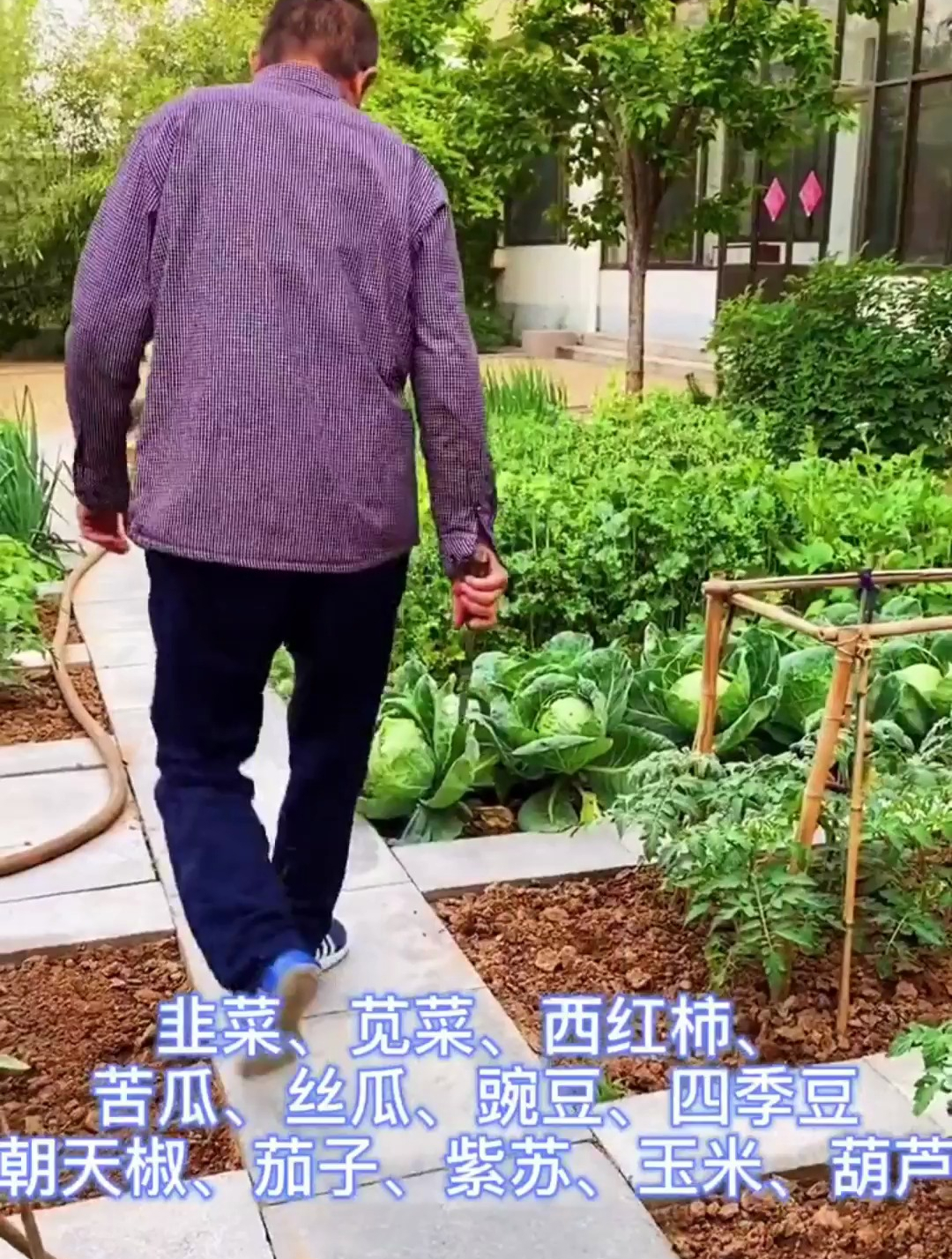 蔬菜种植时间表 你学到了吗