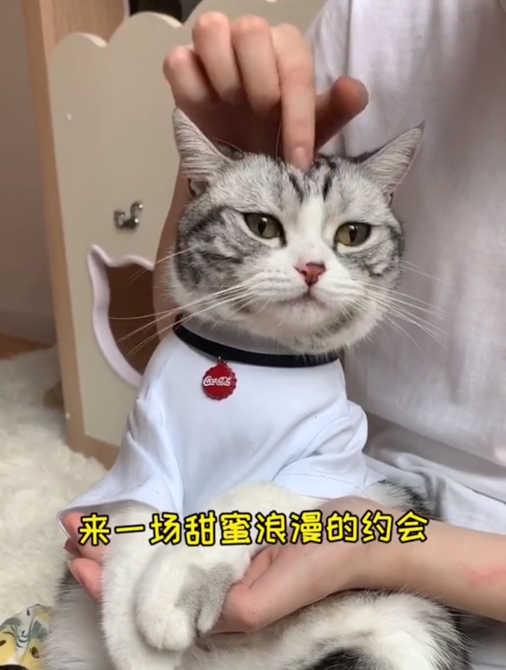 期待泡芙和安生下一次见面